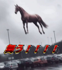 deco
