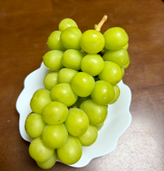 deco