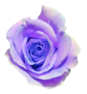 deco