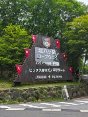 deco