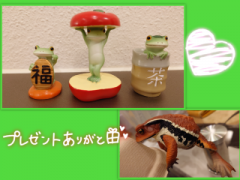 deco