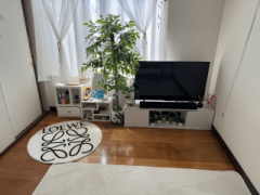 deco