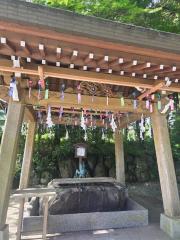 deco