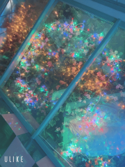 deco