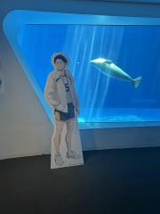 deco