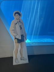 deco