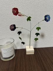 deco