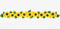 deco