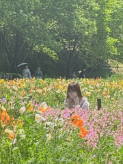 deco