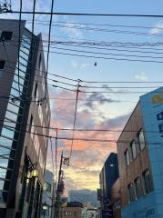 deco