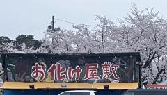 deco