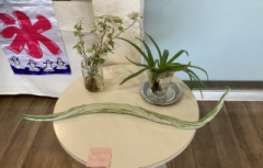 deco