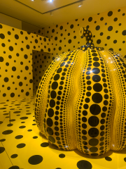 deco
