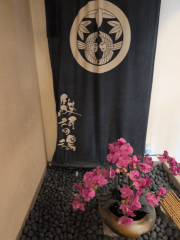 deco