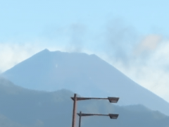 deco