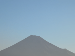 deco