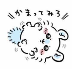 deco