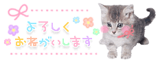 deco