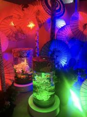 deco