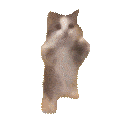 deco