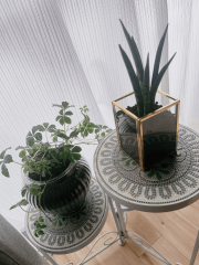 deco