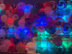 deco