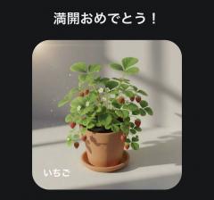 deco