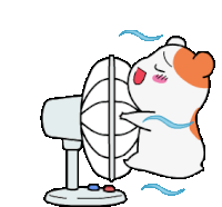 deco