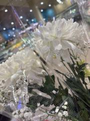 deco