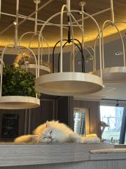 deco