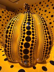 deco