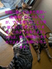 deco