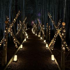 deco
