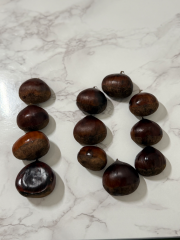 deco