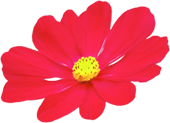 deco