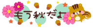 deco
