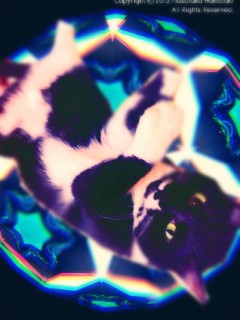 deco