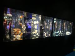deco