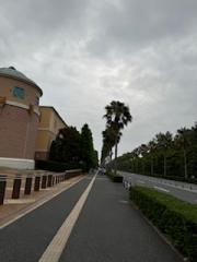 deco