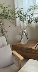 deco