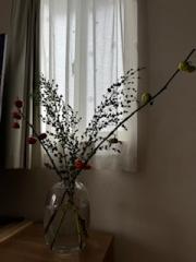 deco