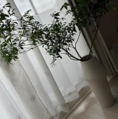deco