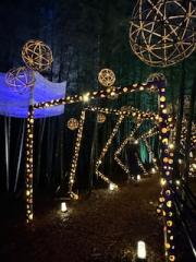 deco
