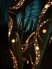 deco