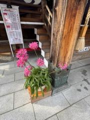 deco