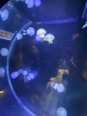 deco