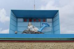 deco