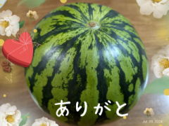 deco