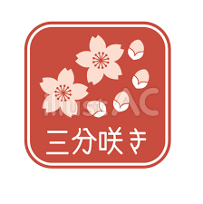 deco
