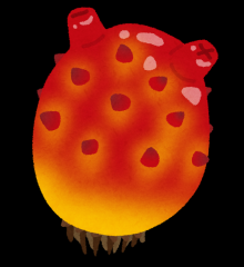 deco